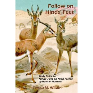 Follow on Hinds' Feet: Study Guide to Hinds' Feet on High Places - Paperback