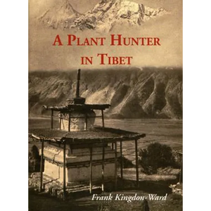 A Plant Hunter In Tibet - Paperback