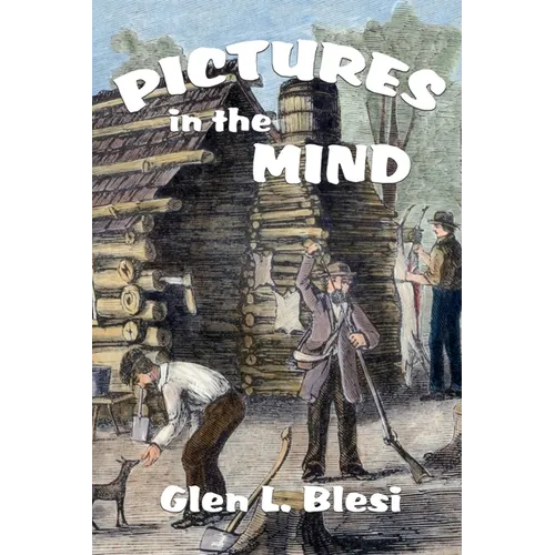 Pictures in the Mind - Paperback