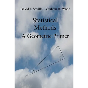 Statistical Methods: A Geometric Primer - Paperback