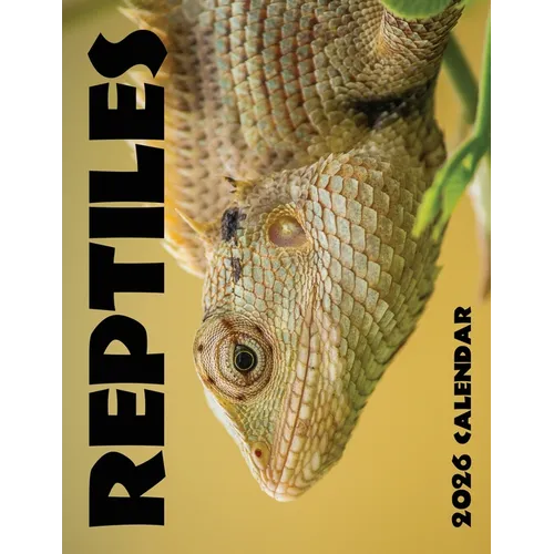 Reptiles 2026 Calendar - Paperback