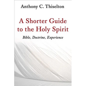 A Shorter Guide to the Holy Spirit: Bible, Doctrine, Experience - Paperback