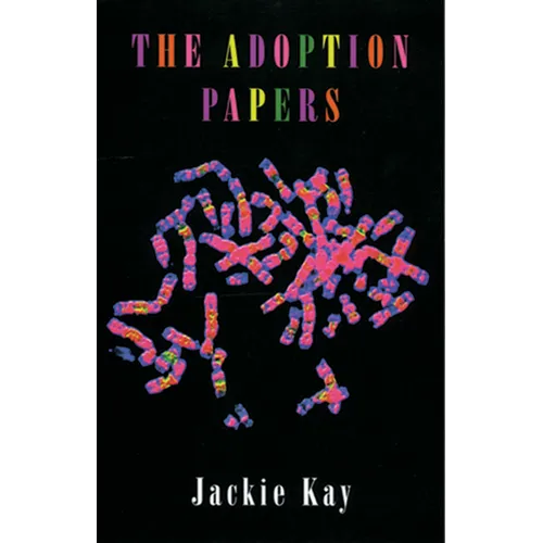 The Adoption Papers - Paperback