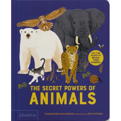 The Secret Powers of Animals - Board Book
