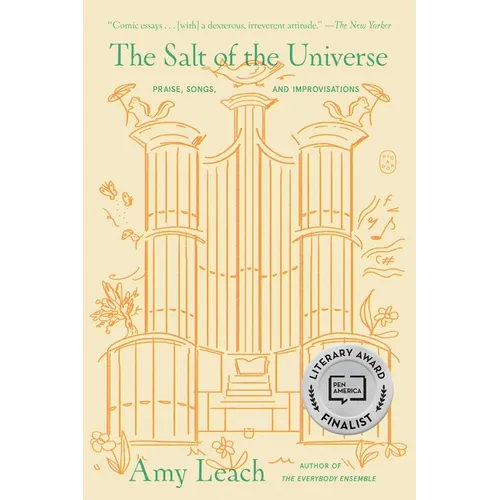 The Salt of the Universe: Praise, Songs, and Improvisations - Paperback