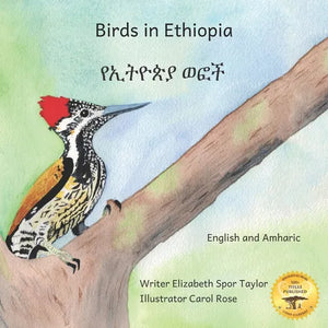 Birds in Ethiopia: The Fabulous Feathered Inhabitants of East Africa in Amharic and English - Paperback