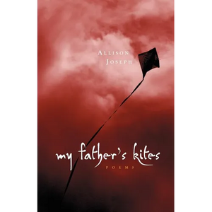 My Father's Kites - Paperback