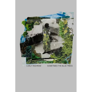 Sometimes the Blue Trees - Paperback