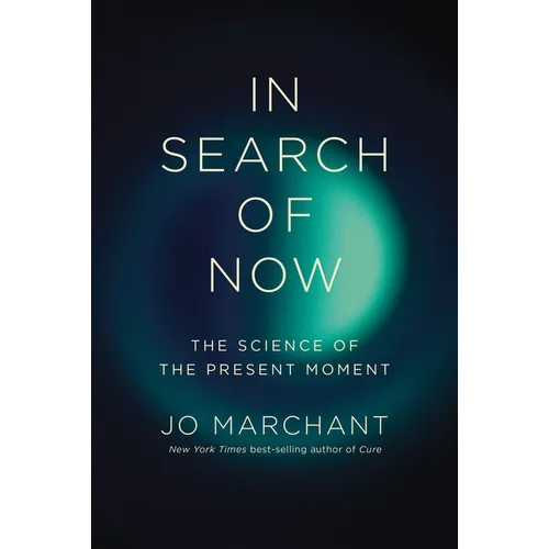 In Search of Now: The Science of the Present Moment - Hardcover
