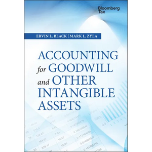 Accounting for Goodwill and Other Intangible Assets - Hardcover