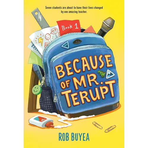 Because of Mr. Terupt - Paperback