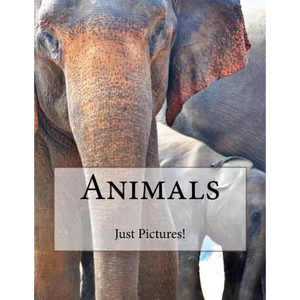 Animals - Paperback