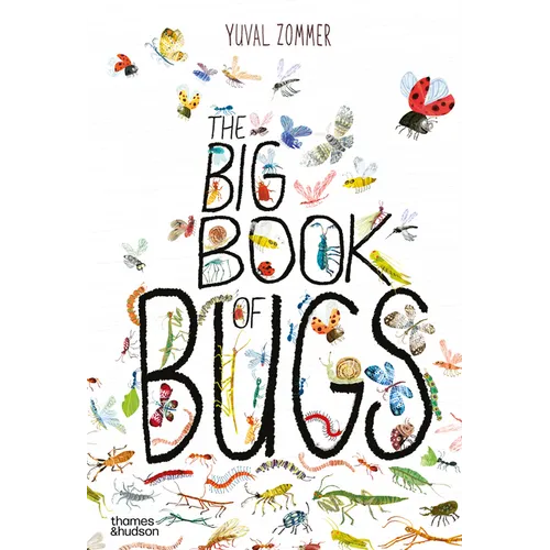 The Big Book of Bugs - Hardcover