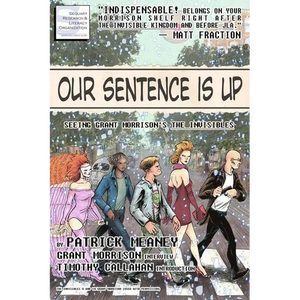 Our Sentence is Up: Seeing Grant Morrison's The Invisibles - Paperback