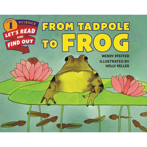 From Tadpole to Frog - Paperback