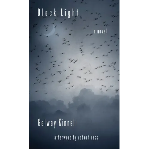 Black Light - Paperback
