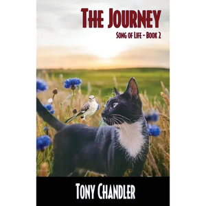 The Journey (Song of LIfe - Book 2) - Paperback