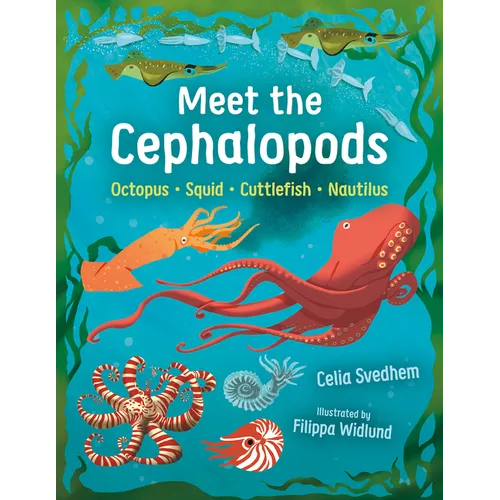 Meet the Cephalopods: Octopus, Squid, Cuttlefish, Nautilus - Hardcover