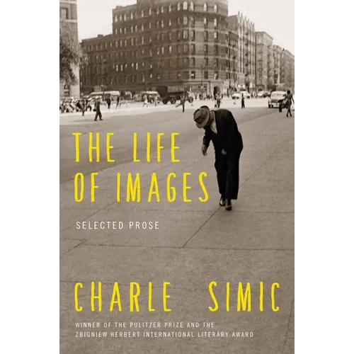 The Life of Images: Selected Prose - Paperback