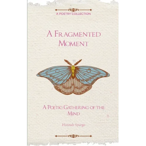 A Fragmented Moment - Paperback