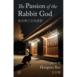 The Passion of the Rabbit God - Paperback