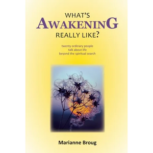 What's Awakening Really Like?: Twenty ordinary people talk about life beyond the spiritual search - Paperback