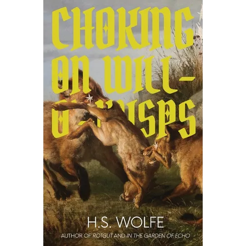 Choking on Will-O'-Wisps - Paperback