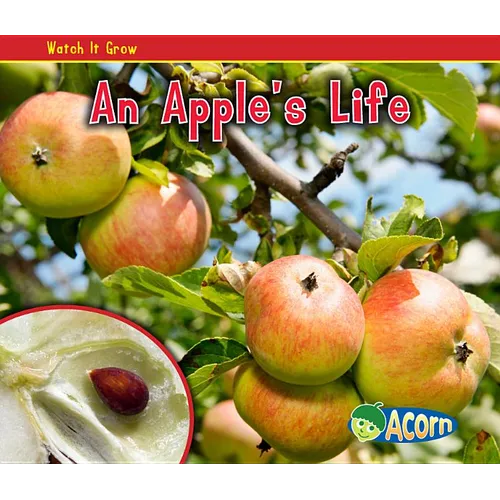 An Apple's Life - Paperback