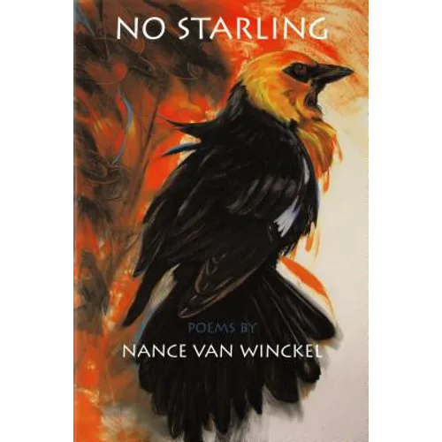 No Starling - Paperback