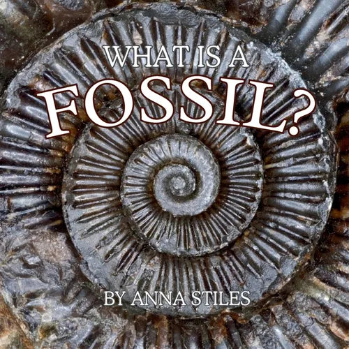 What is a Fossil? - Paperback