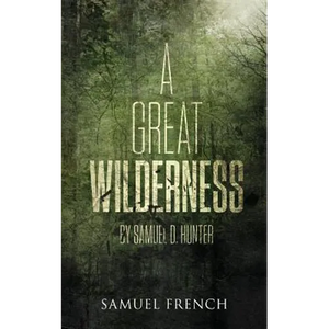 A Great Wilderness - Paperback