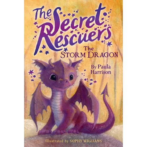 The Storm Dragon - Paperback