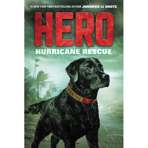 Hero: Hurricane Rescue - Paperback