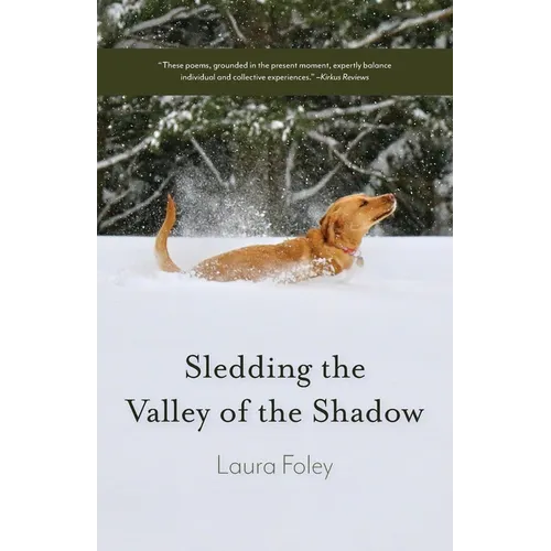 Sledding the Valley of the Shadow - Paperback