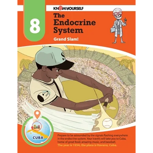 The Endocrine System: Grand Slam - Adventure 8 - Paperback