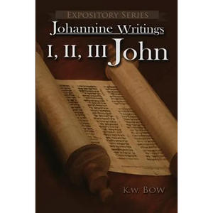 I, II, III John: A Literary Commentary on the Books of John - Paperback