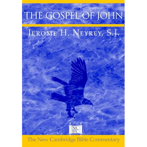 The Gospel of John - Paperback
