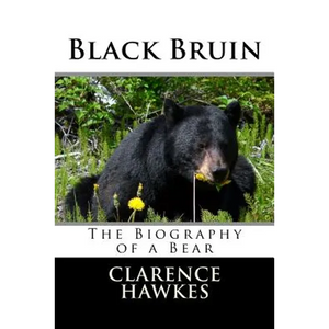 Black Bruin - Paperback