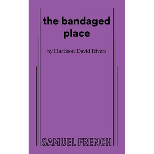 The Bandaged Place - Paperback