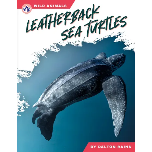 Leatherback Sea Turtles - Library Binding