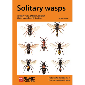 Solitary wasps - Paperback