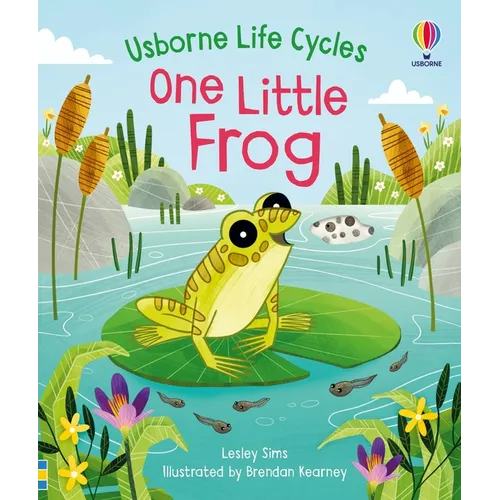 One Little Frog - Board Book