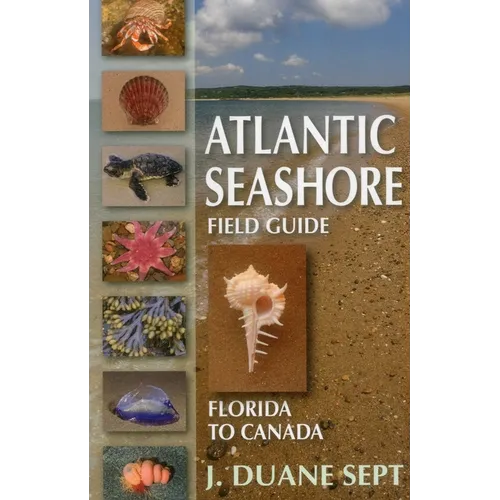 Atlantic Seashore Field Guide: Florida to Canada - Paperback