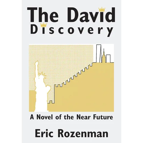 The David Discovery - Paperback