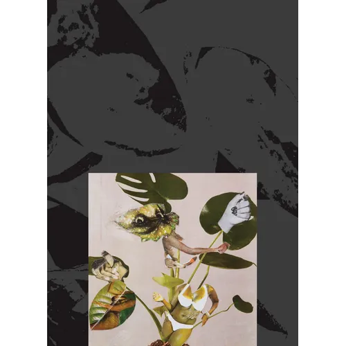 Kandis Williams: A Surface - Paperback