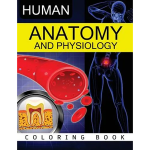 Anatomy & Physiology Coloring Book - Paperback