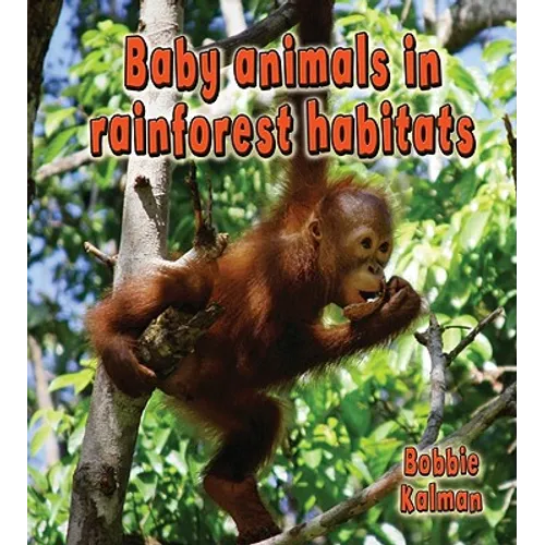 Baby Animals in Rainforest Habitats - Paperback