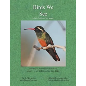 Birds We See - Paperback