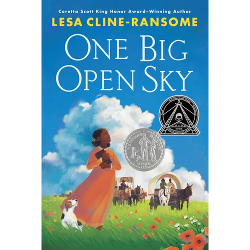 One Big Open Sky - Paperback