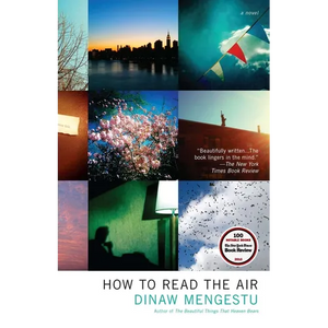 How to Read the Air - Paperback